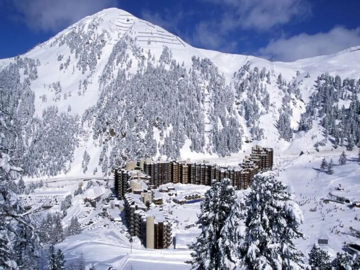 Studio Divisible Confortable - Acces Direct Aux Pistes - Fr-1-181-2084 La Plagne-Tarentaise Apartment